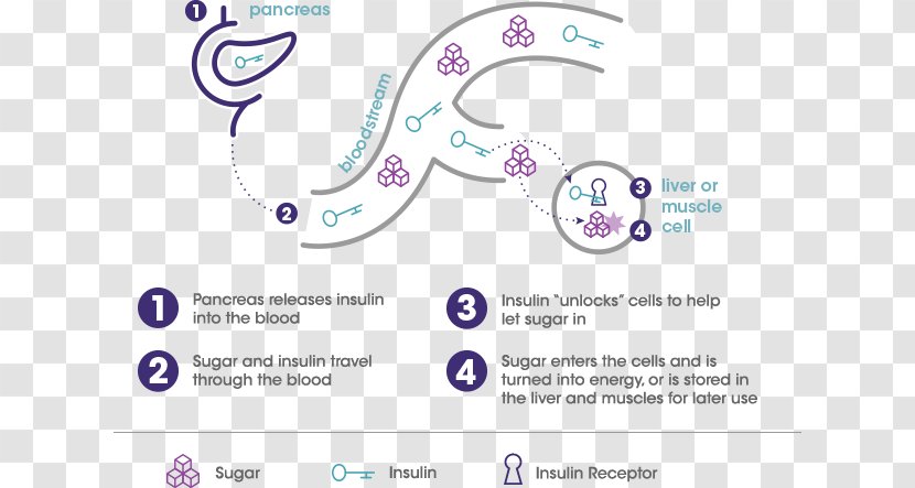 Brand Nose Organism Font - Type 1 Diabetes Transparent PNG