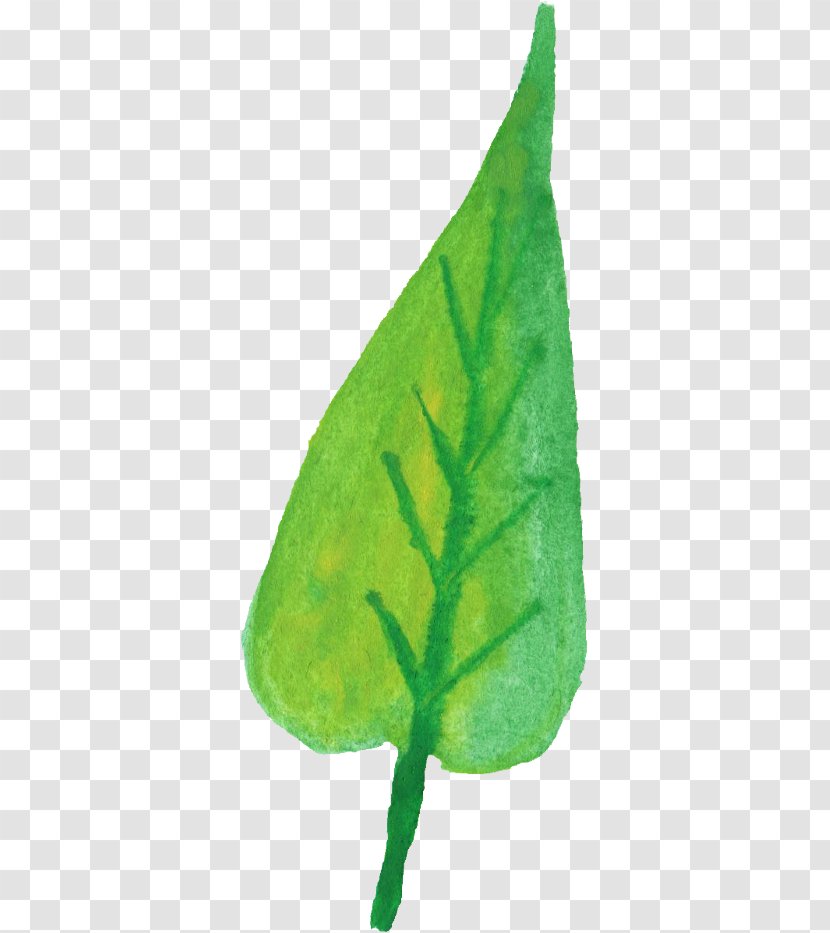Leaf Plant Stem - Watercolor Painting - Leaves Transparent PNG