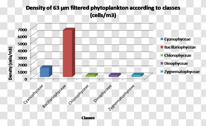 Plankton Jellyfish Kapas Island Ocean Current Document - Paper Product Transparent PNG