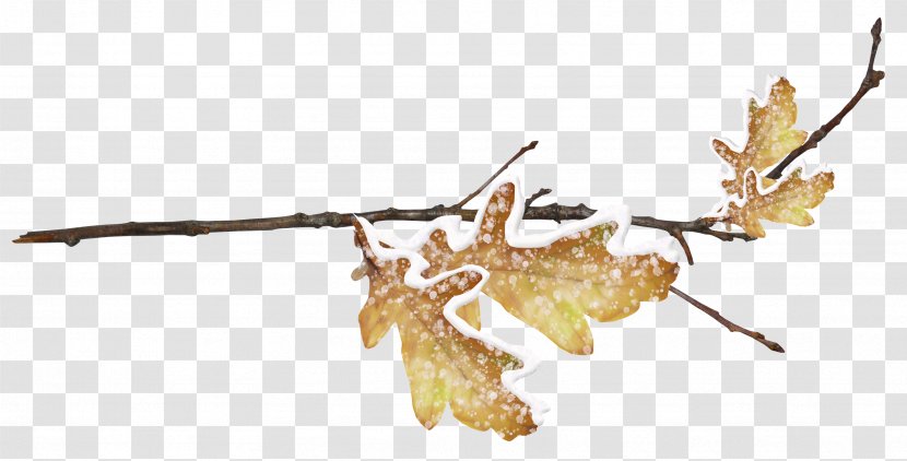 Branch Leaf Twig - Woman - Snow Leaves And Twigs Transparent PNG