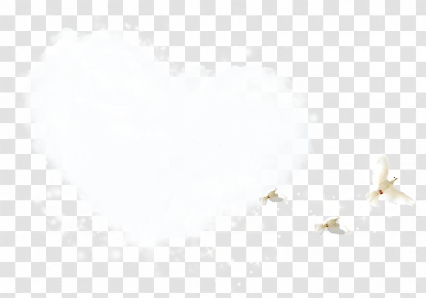 Paper White Brand Pattern - Black - Love Birds Transparent PNG