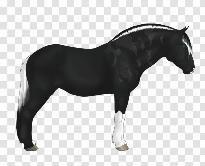 Mane Mustang Stallion Mare Pony - Horse Transparent PNG