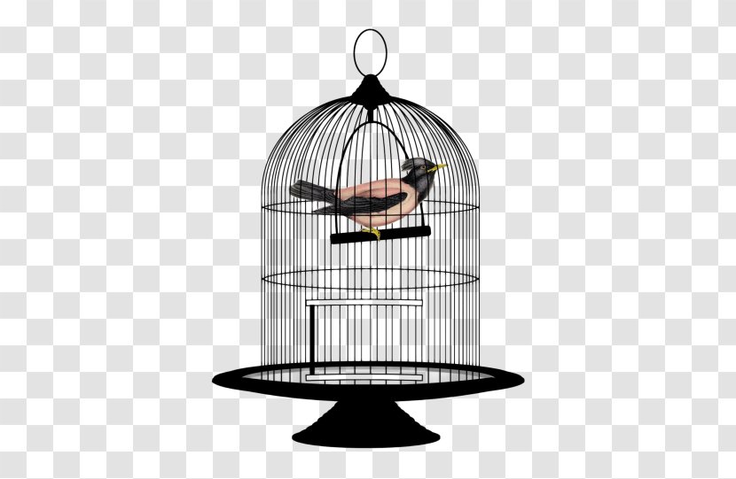 Parrot Lovebird Birdcage Clip Art - Cage Transparent PNG