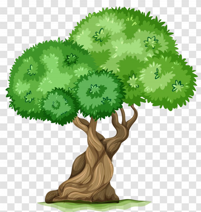 Tree Clip Art - Woody Plant - Hollow Cliparts Transparent PNG
