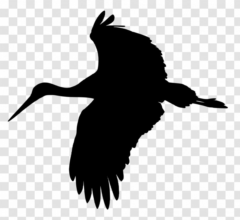 White Stork Crane Heron Bird Clip Art Transparent PNG