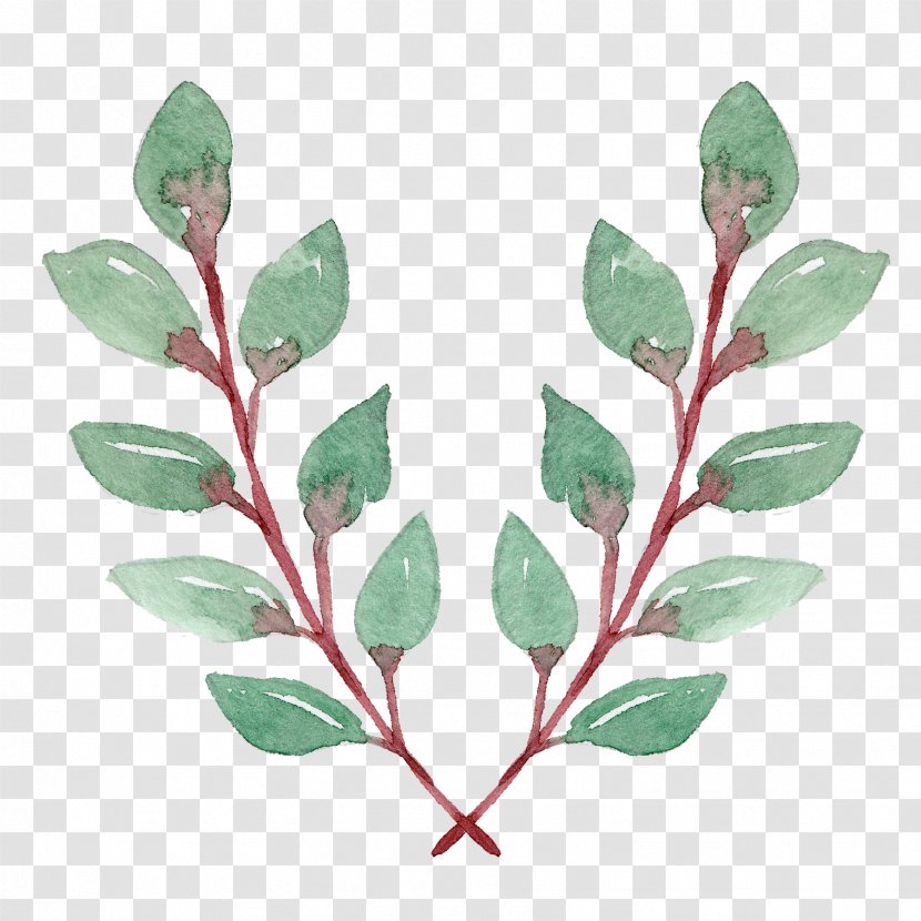 Illustration Television Leaf Image - Fruit - Green Foliage Transparent PNG