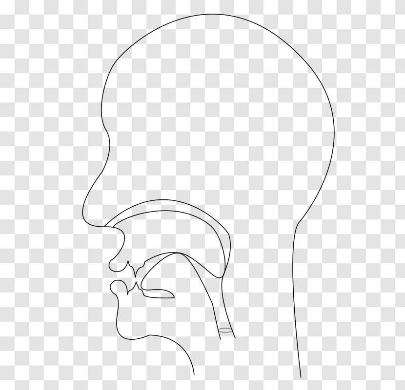 Ear /m/02csf Cheek Drawing Clip Art - Cartoon Transparent PNG
