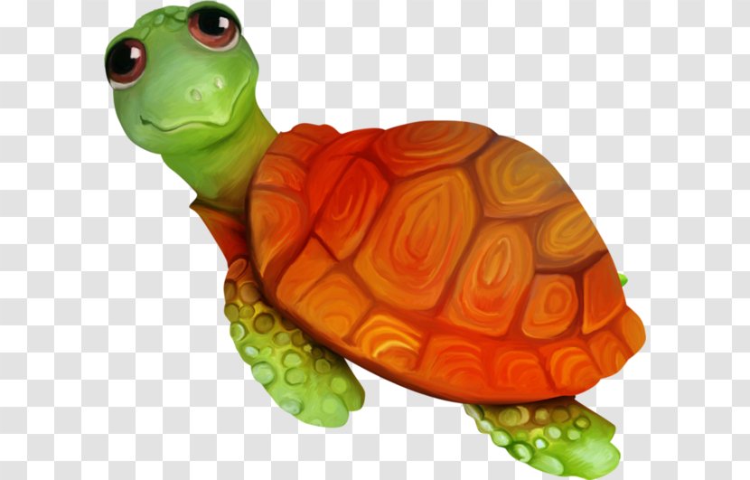 Sea Turtle Tortoise Emydidae - Reptile - Cartoon Animals Crawl Small Transparent PNG