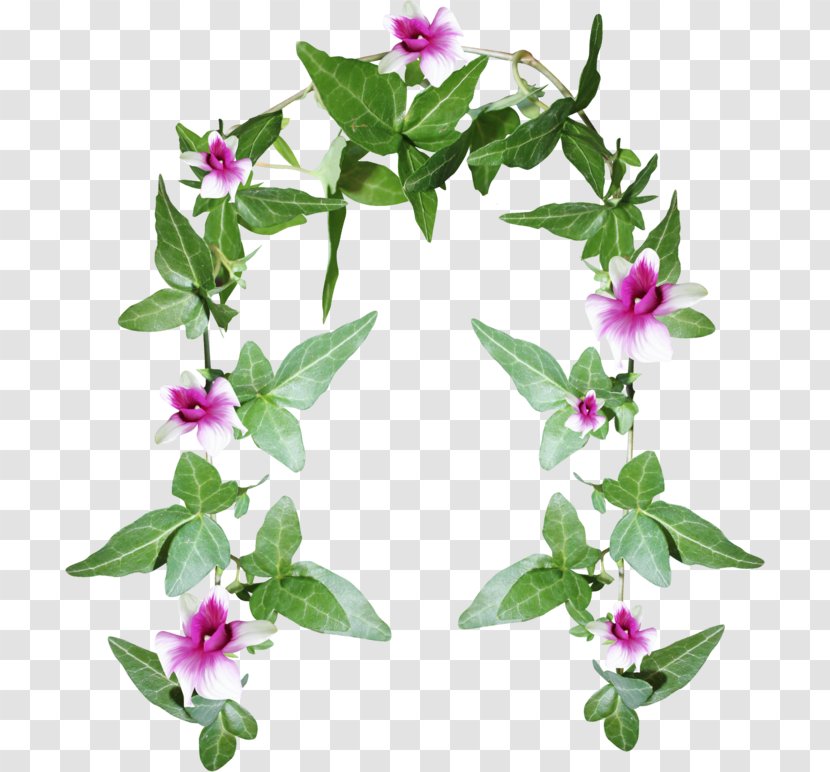 Flower Clip Art - Flowers Arch Transparent PNG