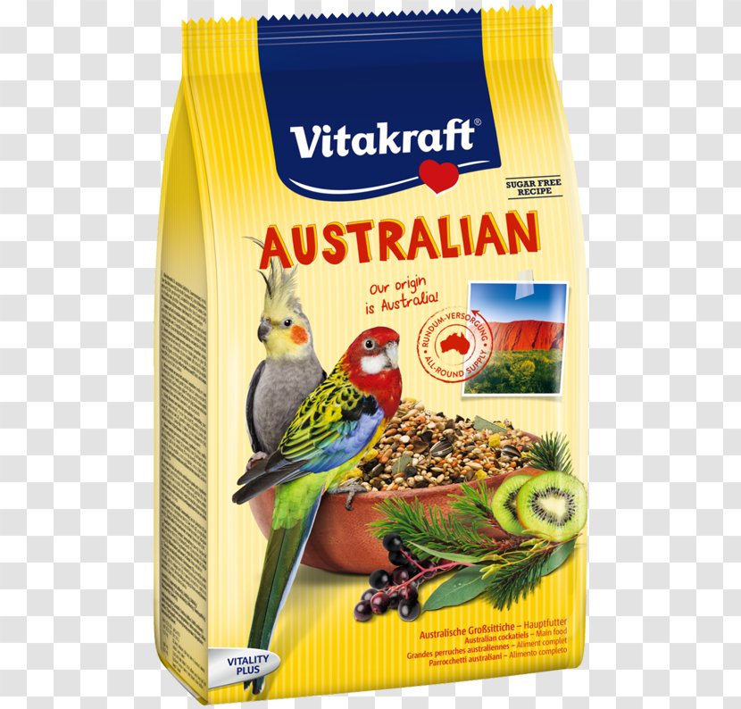Australian Cuisine Cockatiel Budgerigar Parrot - Bird - Australia Transparent PNG
