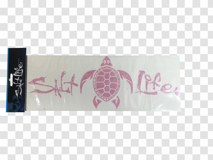 Label Turtle Pink M Sticker Decal Transparent PNG