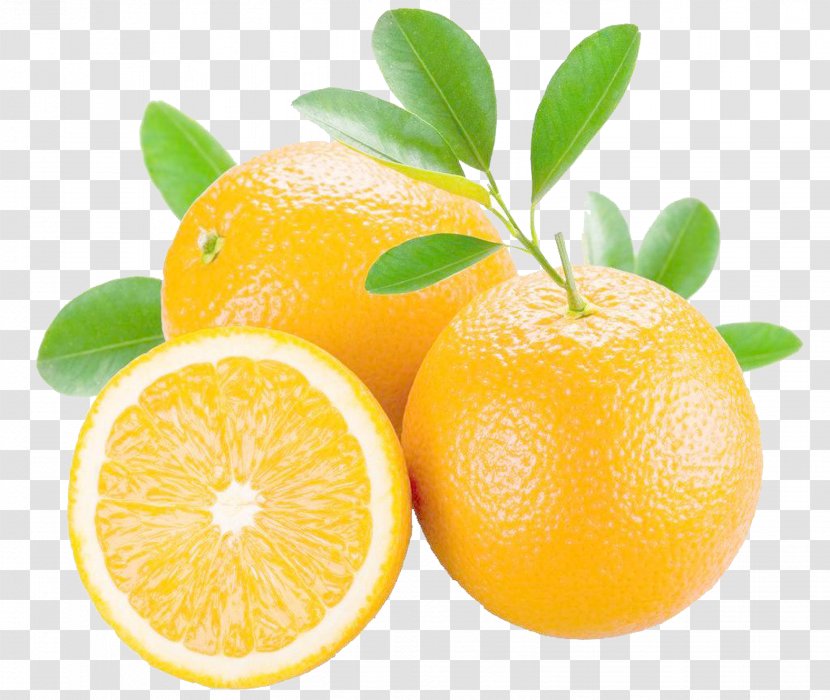 Orange Juice Mandarin Grapefruit Bitter - Yuzu Transparent PNG