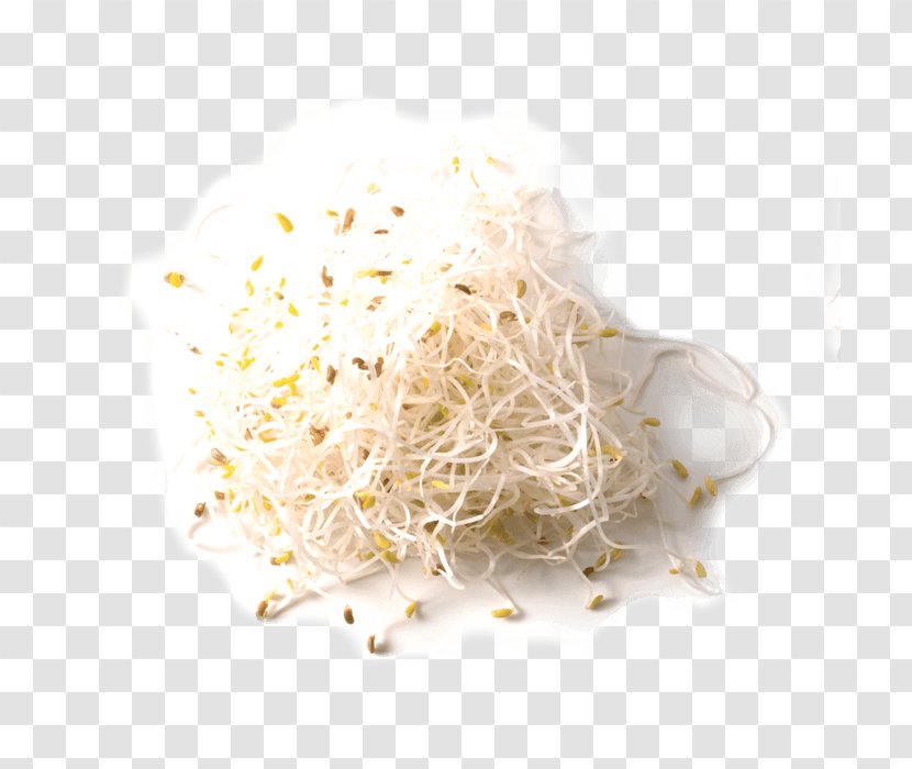 Stock Photography Image Popcorn Download - Alfalfa Sprouts Taste Transparent PNG