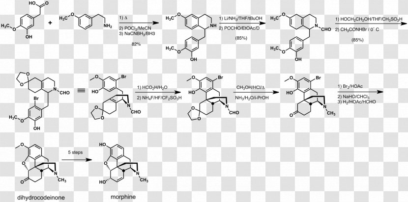Total Synthesis Of Morphine And Related Alkaloids Rice Document - Frame - Heart Transparent PNG