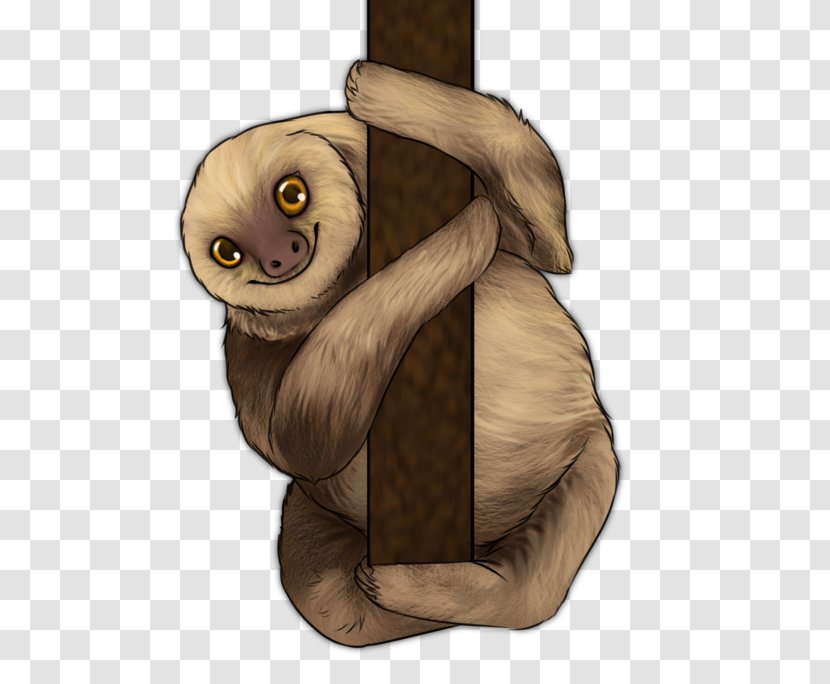 Gorilla Sloth Monkey Cartoon Transparent PNG