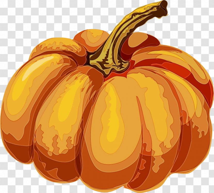 Pumpkin - Food - Cucurbita Transparent PNG