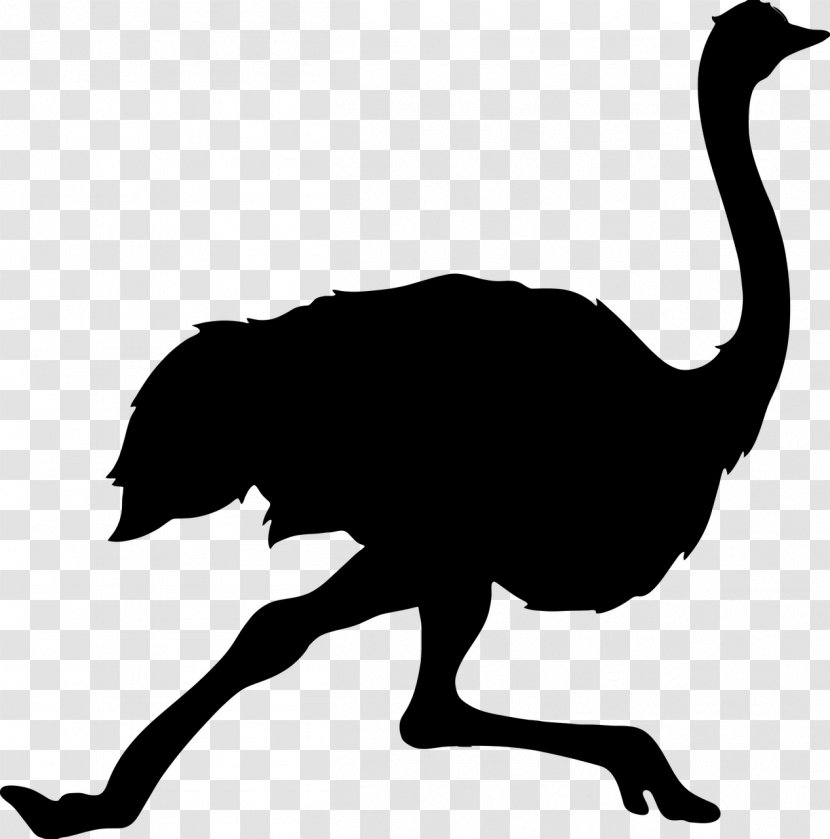 Common Ostrich Bird Silhouette Clip Art - Monochrome Transparent PNG