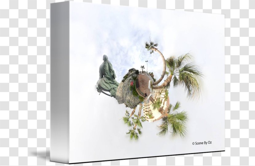 Fauna Stock Photography Picture Frames Tree Transparent PNG