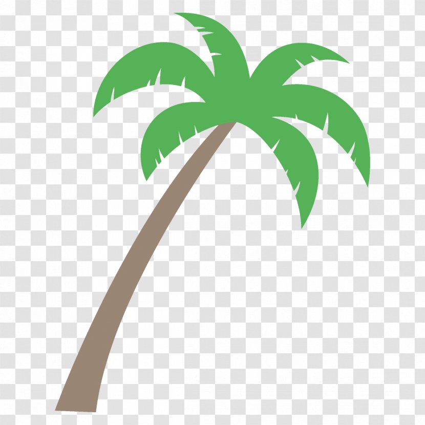 Palm Tree - Woody Plant Transparent PNG