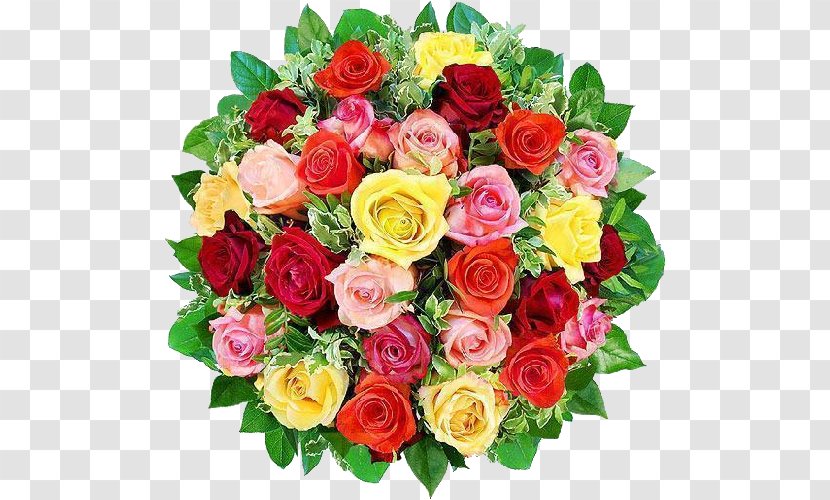 Cut Flowers Wreath Rose WhatsApp - Flowering Plant - Flower Transparent PNG