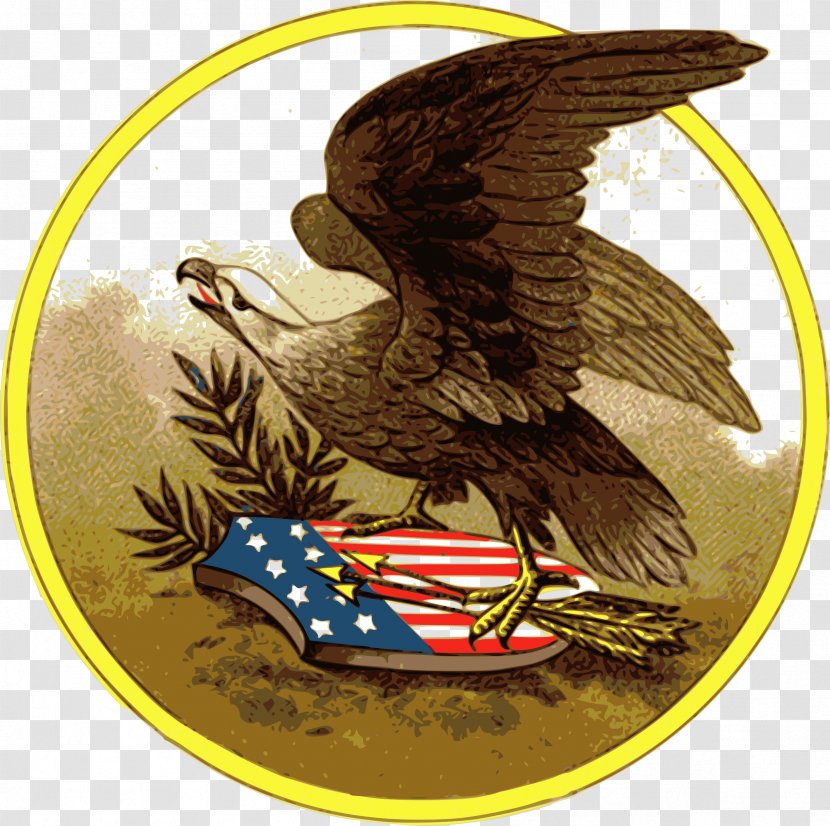 Bald Eagle Clip Art - Bird Of Prey - American Transparent PNG