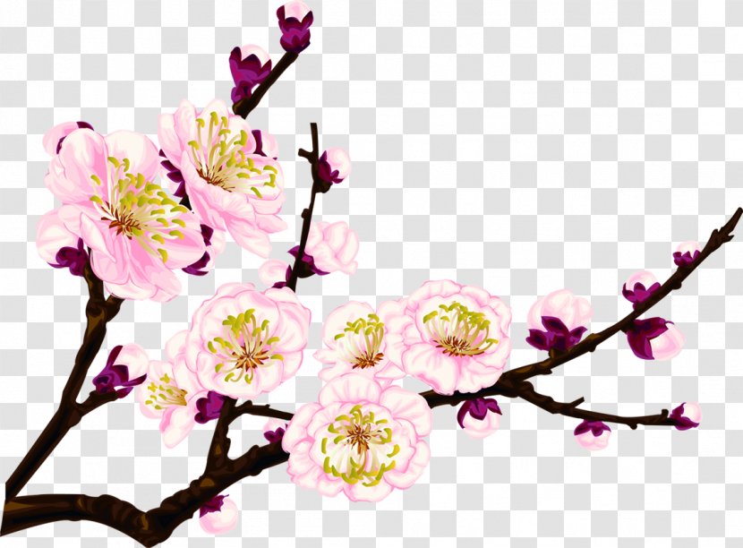 Clip Art - Coreldraw - Pink Peach Branches Transparent PNG