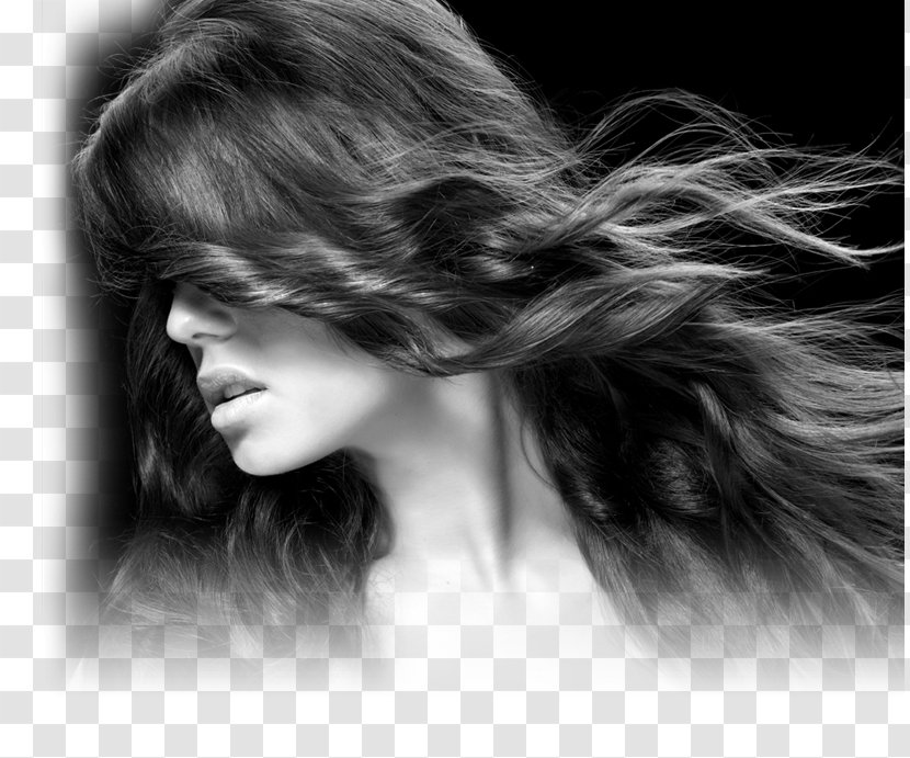 Long Hair Ancona Capelli Layered Cosmetologist - Frame - Elegant Transparent PNG