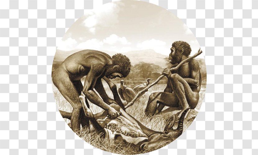 Prehistory Neanderthal Herto Man Homo Habilis Ethical Omnivorism - Mythology - Human Behavior Transparent PNG