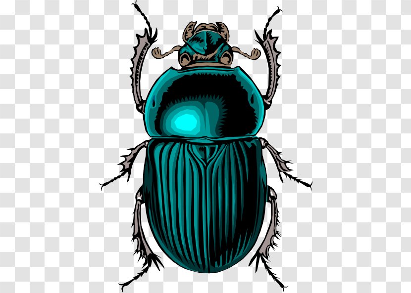 Dung Beetle Scarab Clip Art - Membrane Winged Insect - Cliparts Transparent PNG