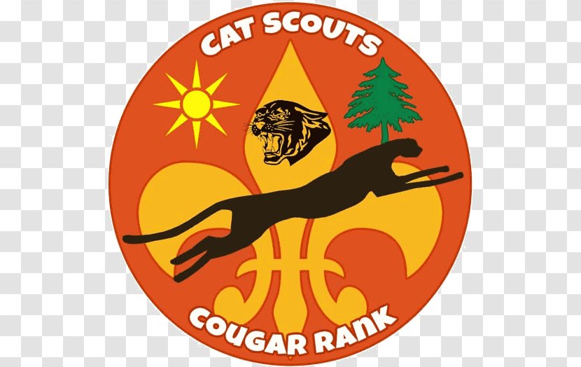 World Scout Emblem Cat Scouting Cheetah Felidae Transparent PNG