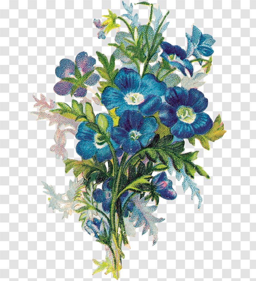 Floral Design Cut Flowers Old-Time Vignettes In Full Color Flower Bouquet - Oldtime Transparent PNG