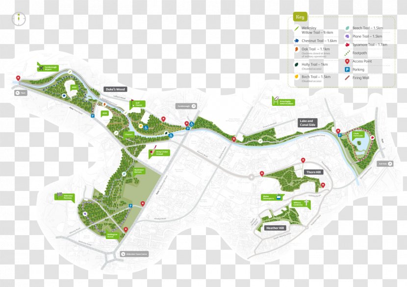 Wellesley Woodland Trail Tree - Diagram - Wood Transparent PNG