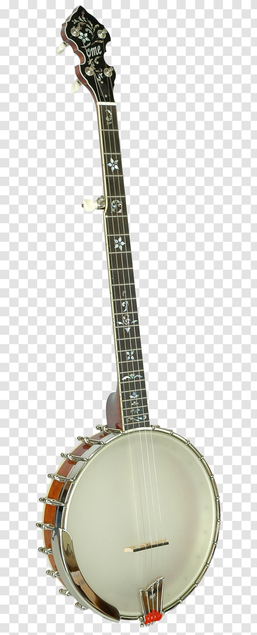 Banjo Guitar Acoustic Uke Acoustic-electric Mandolin - Cartoon Transparent PNG