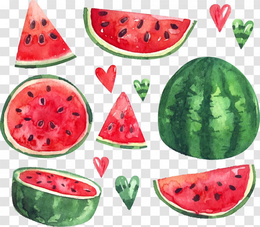 Watermelon Euclidean Vector Citrullus Lanatus Download - Food - Summer Ice Transparent PNG
