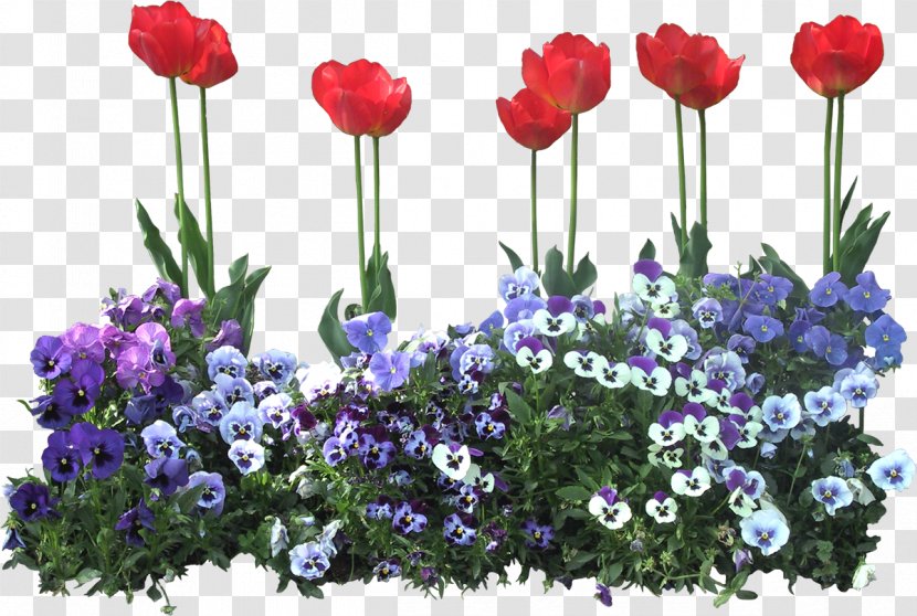 Flower - Floristry - Bed Transparent PNG