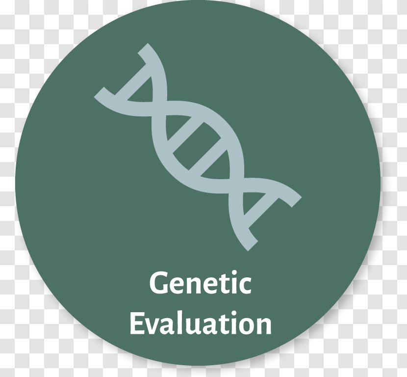 DNA Drawing Clip Art - Brand - Longevity Transparent PNG