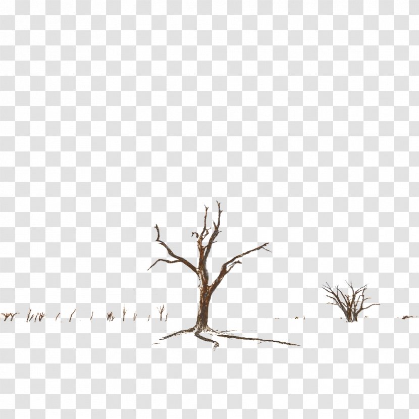 Black And White Pattern - Dead Trees In Late Autumn Transparent PNG
