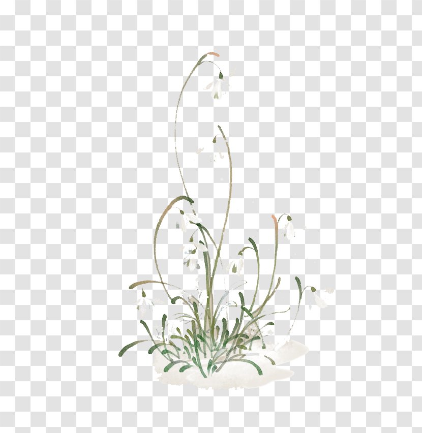 Floral Design Flowerpot Pattern - Branch - Watercolor Flowers Transparent PNG