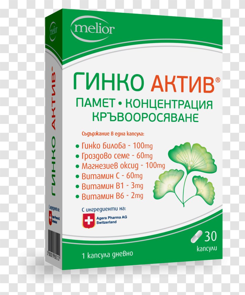 Dietary Supplement Ginkgo Biloba Food Pharmaceutical Drug Health Transparent PNG
