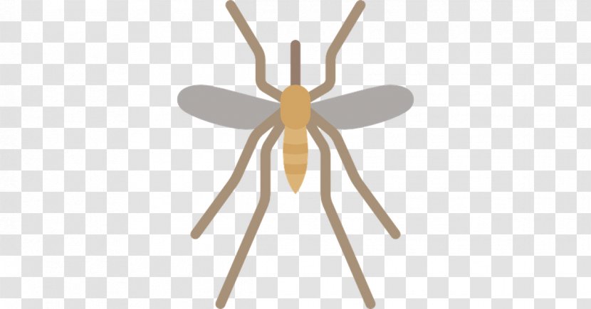 Insect Mosquito Animal Pest Control - Invertebrate Transparent PNG