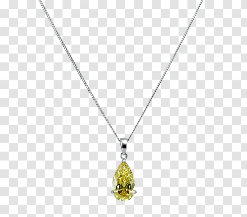 Locket Necklace Silver Gemstone Jewelry Design - Delicate Petals Transparent PNG