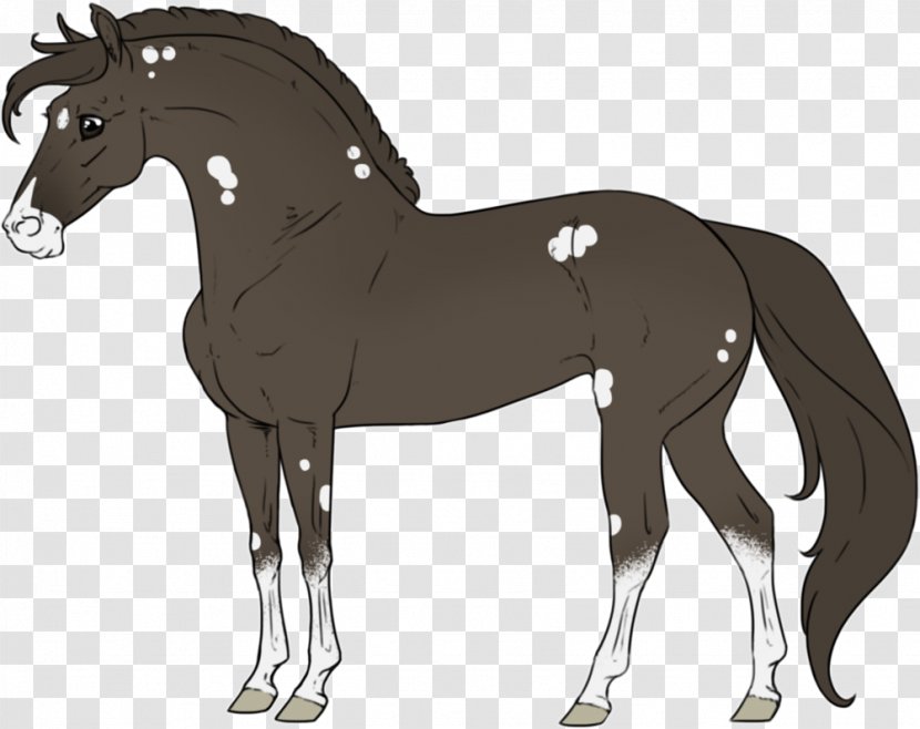 Horse Foal Pony Stallion Colt - Vertebrate - Bohemia F Transparent PNG