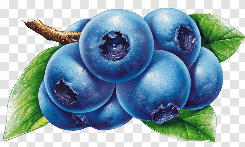 American Muffins Blueberry Juice Berries Fruit - Superfood Transparent PNG