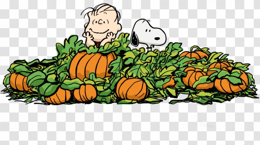 Charlie Brown Great Pumpkin Linus Van Pelt Woodstock Pig-Pen - Winter Squash - It's The Transparent PNG