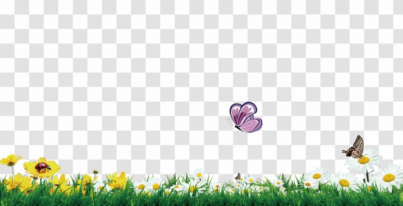 Butterfly Flower Grass - Herbaceous Plant - Green Flowers Decorative Borders Transparent PNG