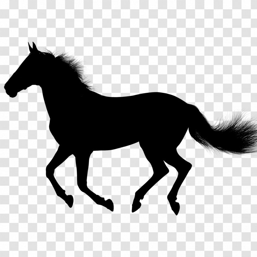 Horse Vector Graphics Clip Art Illustration - Mammal - Equestrian Transparent PNG