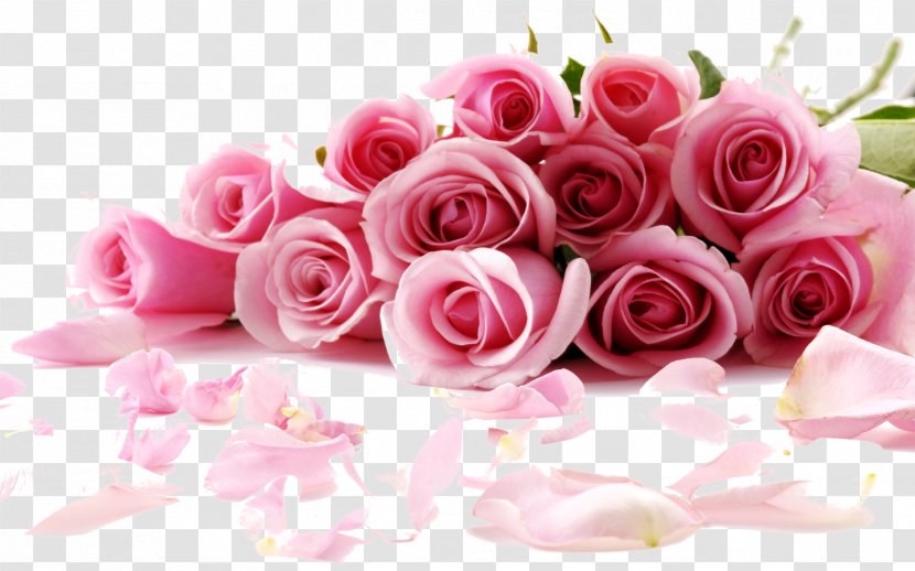 Rose Flower Desktop Wallpaper Stock.xchng Pink - Highdefinition Television Transparent PNG