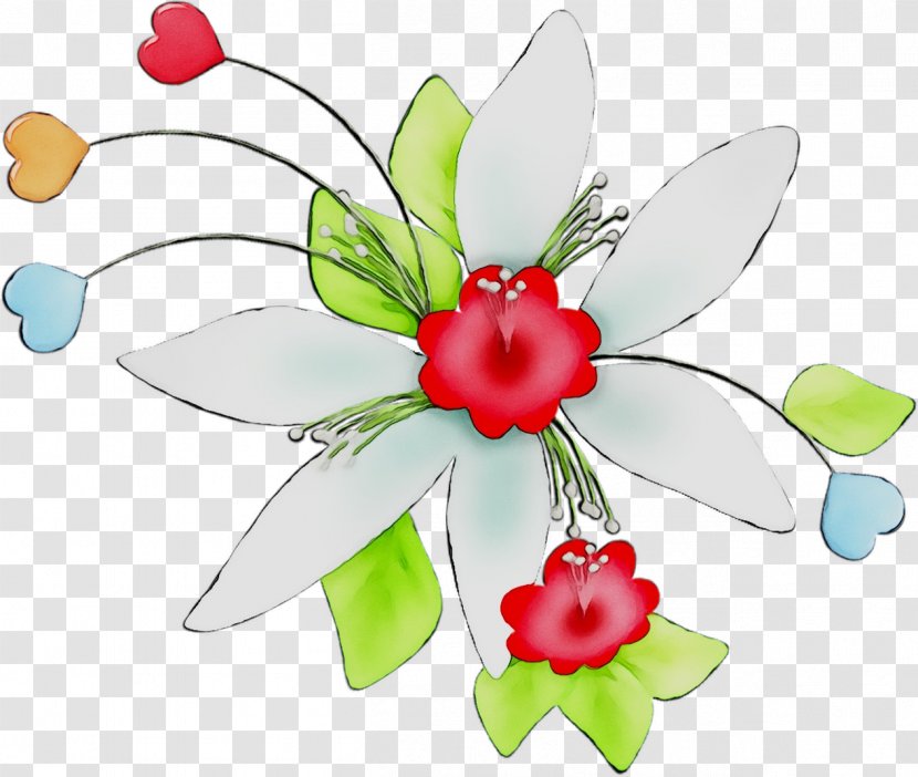 Floral Design Cut Flowers Flower Bouquet - Botany - Wildflower Transparent PNG
