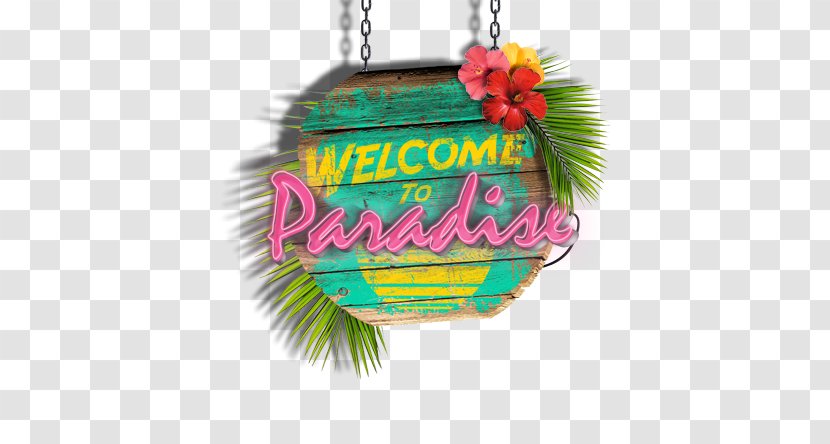 Welcome To Paradise Song English Information - This Is The End Transparent PNG