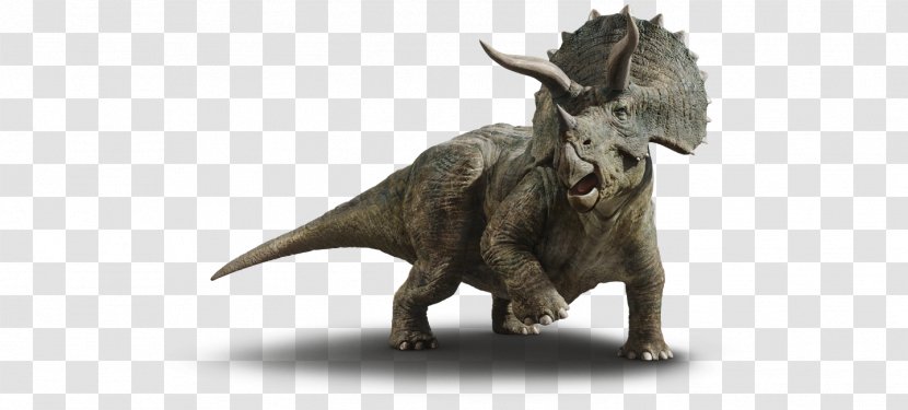 Baby Triceratops Le Guide De Survie Jurassic World Chaos Island: The Lost Dinosaur - Wildlife Transparent PNG